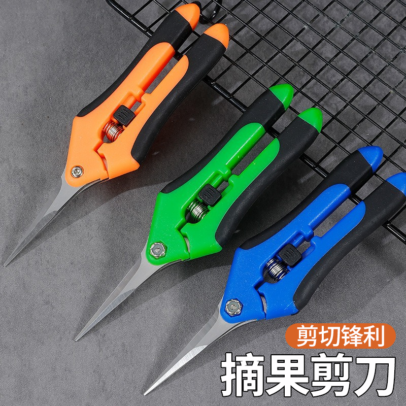 德国摘果剪强力修枝剪子园林稀果花艺剪水果专用剪刀蔬果采摘剪子