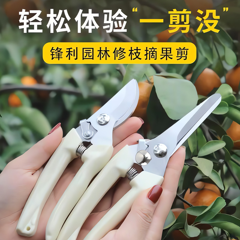 不锈钢修剪树枝剪刀采摘水果花木剪刀园林果树花卉枝嫁接园艺剪刀