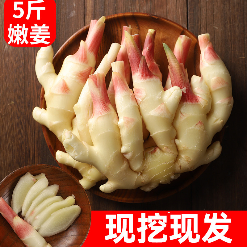 嫩姜新鲜嫩生姜子姜仔姜鲜姜腌制仔嫩姜芽5斤装红芽现挖山东新姜|msdalam kategori daging perikanan/Buah-buahan segar dan sayur-sayuran/dimasak, sayur-sayuran segar/Vegetable Products, Ginger - dari Buy2taobao.com untuk memberikan perkhidmatan ejen Taobao profesional membeli