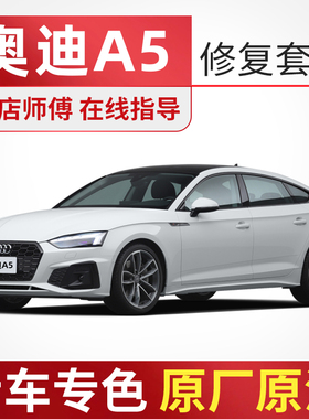 奥迪A5汽车补漆笔套装朱鹭白汽车面漆划痕修复神器油漆自喷漆白色