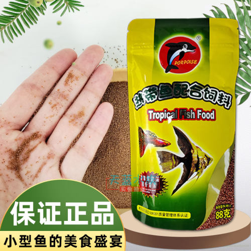 海豚热带鱼中国观赏鱼高营养