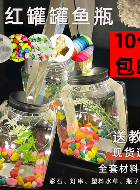 网红罐罐鱼发光鱼瓶泡泡鱼