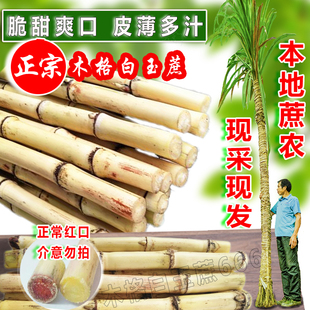 顺丰 9斤 广西木格白玉蔗玻璃脆新鲜水果甘蔗非青皮黑皮黄皮蔗5