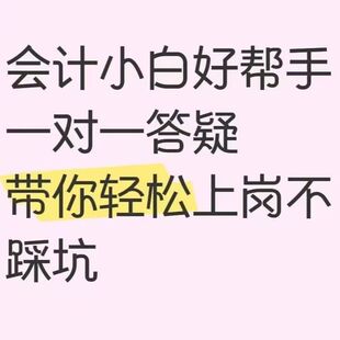会计陪跑财务咨询税务咨询做账报表填写专业一对一在线答疑
