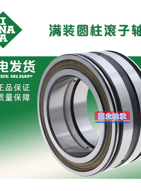 德国进口满装滚子轴承 SL18 5020A-C3 RSL185020AC3