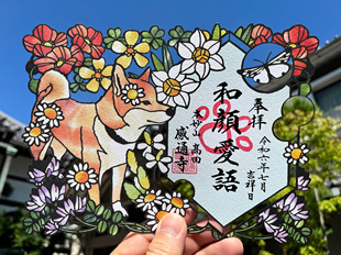 日本东京感通寺限定御朱印贴柴犬朱印帐生日礼物可配相框
