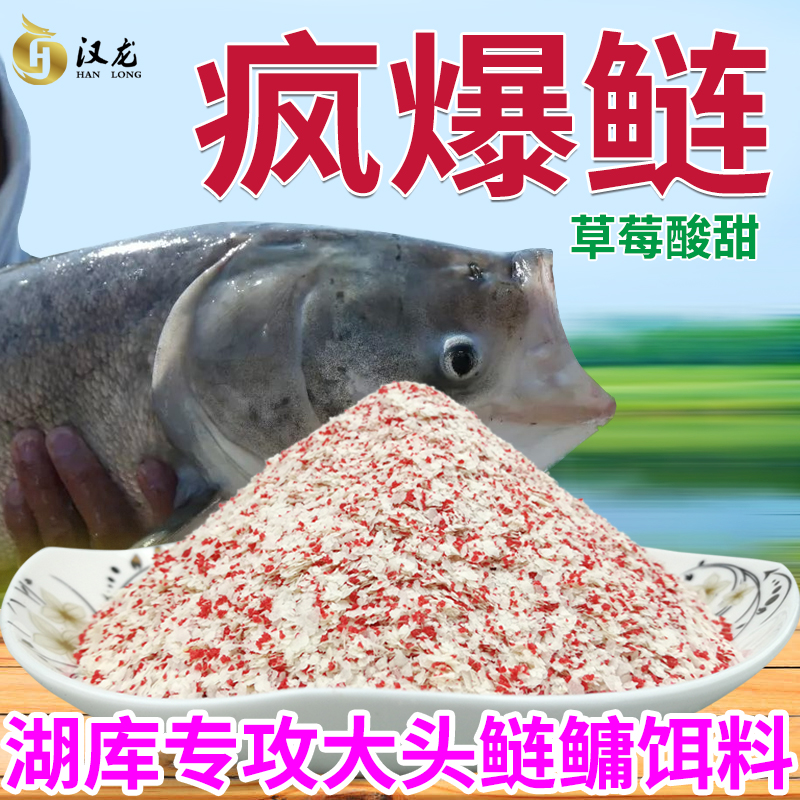 鲢鳙饵料草莓酸甜味野钓水库专用