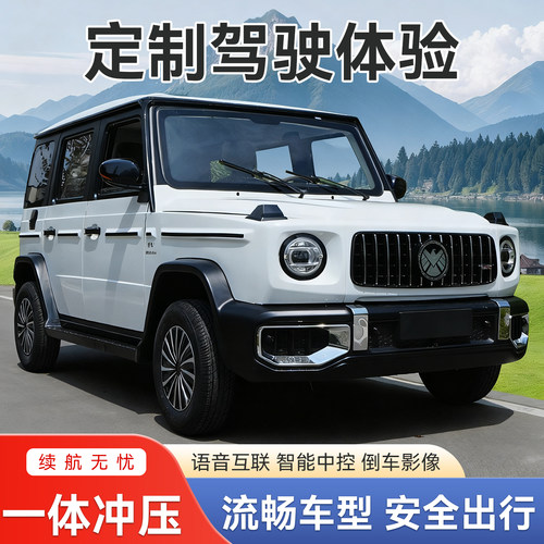 电动四轮车家用新能源男女款油电两用全封闭电瓶成年人接送代步车