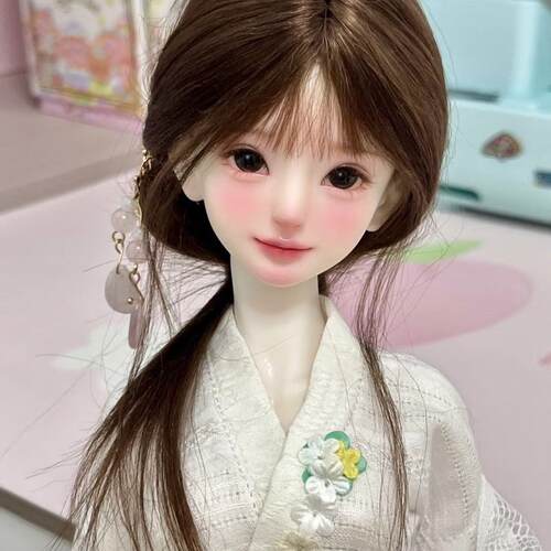 Bjd4分树脂一翻d头Flynn