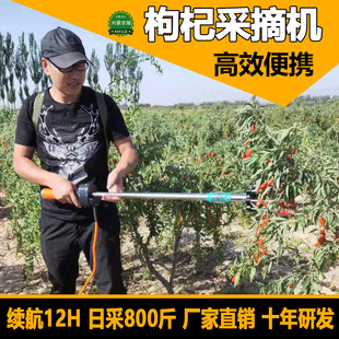 八角采摘机器农缘快易得便携果实电震动打果坚果收获枸杞沙棘咖啡