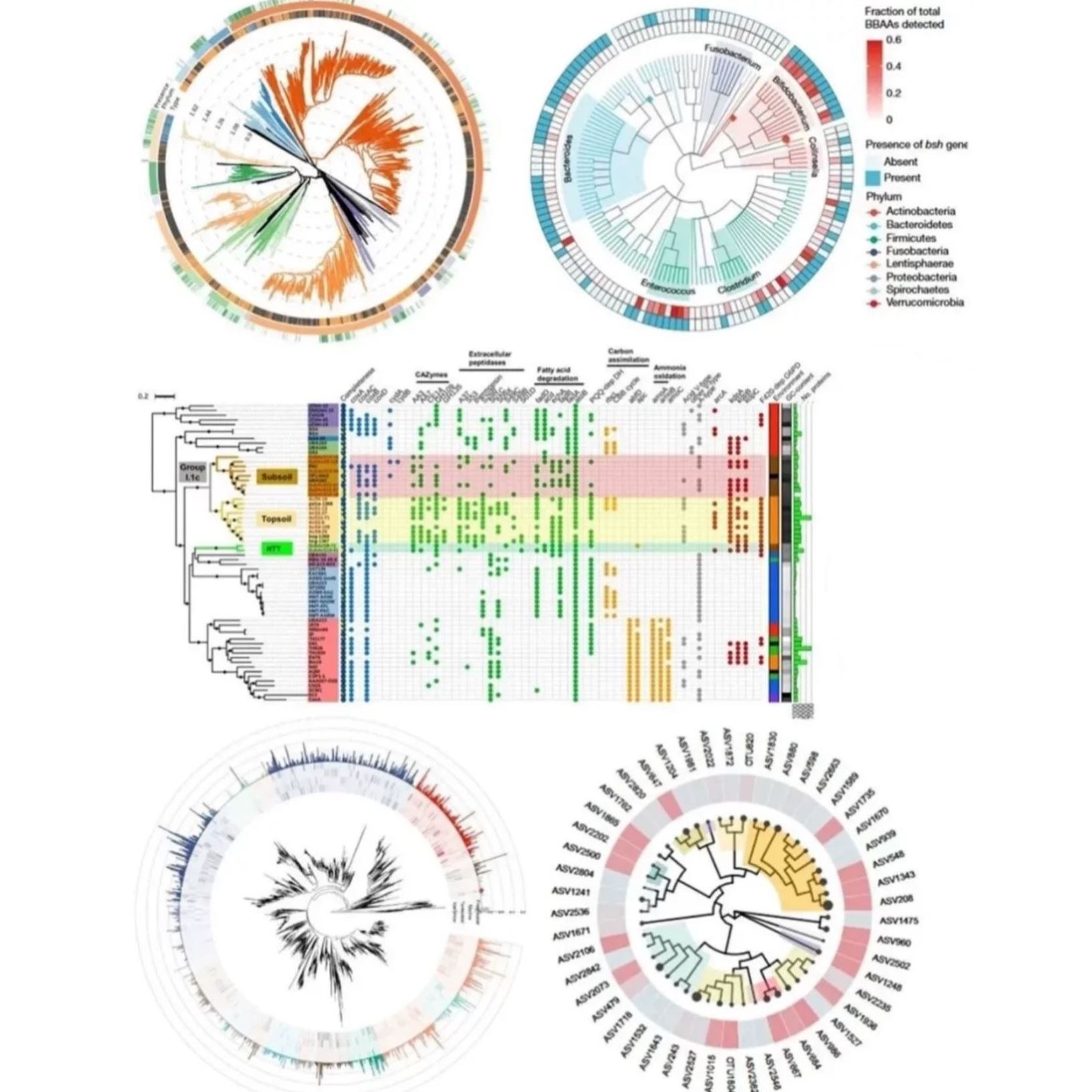 Lancet PCoA图R语言代码Rstudio绘图SCI科研生信医学数据分析作图