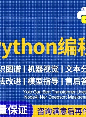 python深度学习机器学习时序预测目标检测分类分割代码指导复现等