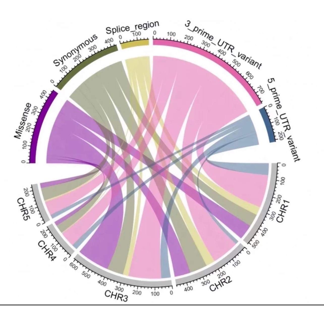 R语言绘制SCI科研图Rstudio绘图数据源代码roc源码生物pca源文件