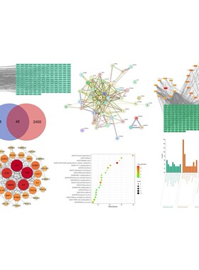 生物信息 宏基因组 16S扩增子 LEfSe 群落构建 共现网络 PICRUSt2