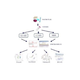 LCMS检测 液相色谱质谱分析检测 代谢组学 脂质组学 蛋白组学