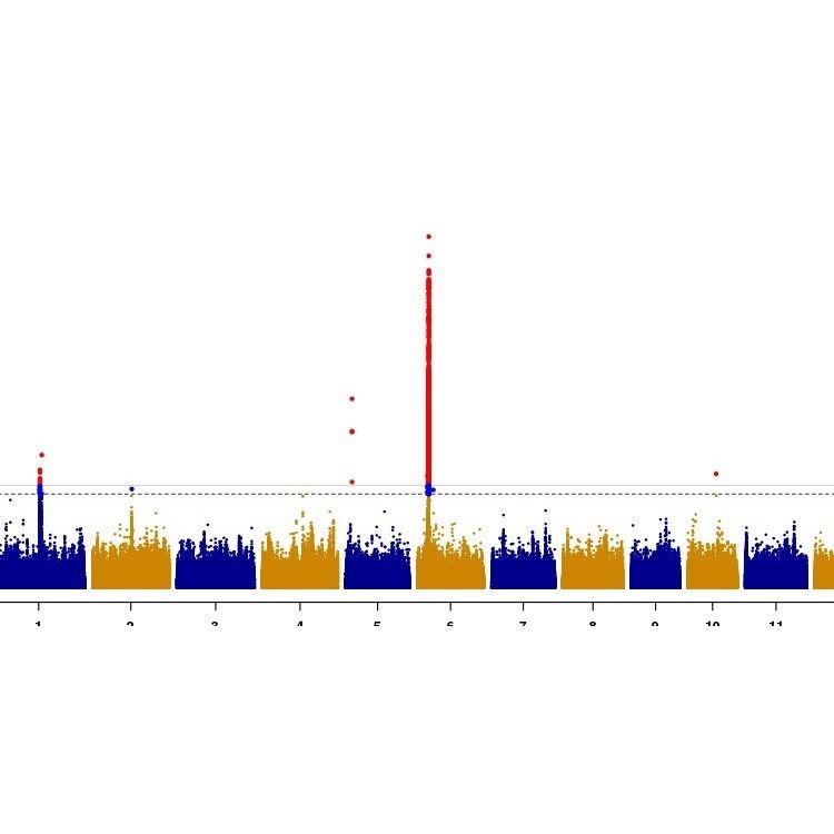 植物生物信息GWAS分析2D3D绘图/单倍型分析构建进化树/生物信息,商务/设计服务,2D/3D绘图,淘宝优惠券,粉丝福利购,淘宝优惠卷