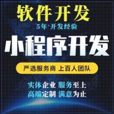 计算机程序设计java微信小程序php代码软件python安卓NET定做程序
