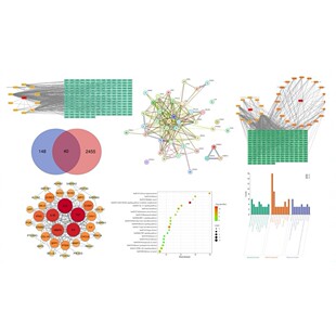 网络毒理学TCGA孟德尔随机化GEO数据转录组单细胞生信分析