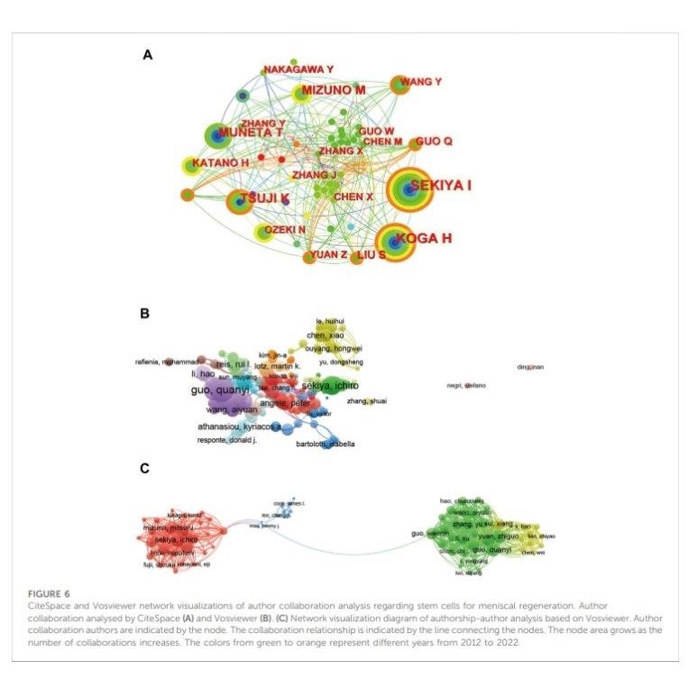 文献计量学分析/提供主题作图分析框架设计