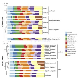 krona kraken2 宏基因组数据微生物16S生信分析R语言绘图 humann3