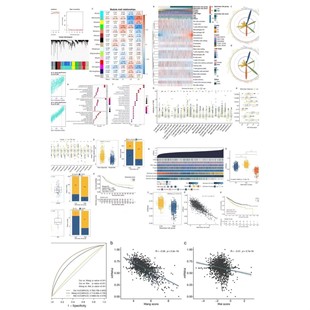 GEO数据库挖掘 TCGA 16s转录组基因组分析 5分SCI服务 生信分析2