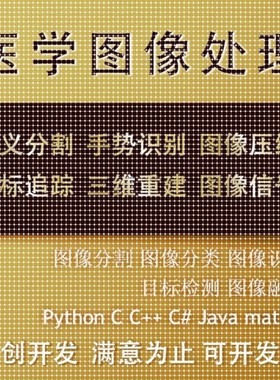 matlab医学图像处理分割代编图像识别python图像深度学习语义分割