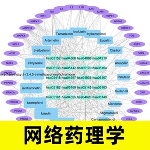 中医网络理学代做 网 TCMSP GO KEGG cytoscape 分子对接