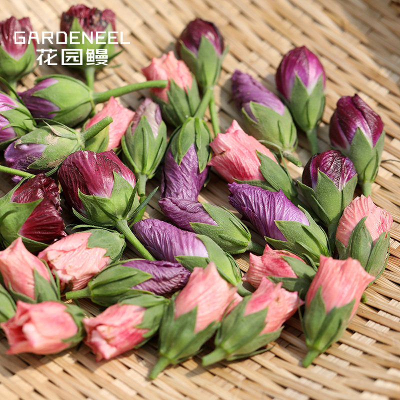 木槿紫玉蓝莓冰沙雪纺重s瓣可食用庭院夏季超长花期灌木花园盆栽,鲜花速递/花卉仿真/绿植园艺,观叶 /花灌木,淘宝优惠券,粉丝福利购,淘宝优惠卷