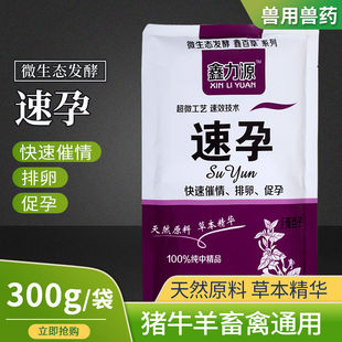 兽用母猪配种排卵诱情剂促排卵多胎素母猪促孕多仔多孕促情散仔猪