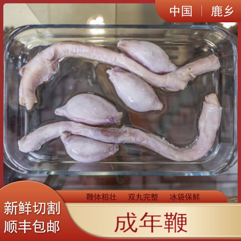 新鲜鹿鞭整根整枝冷鲜吉林梅花鹿带睾丸煲汤顺丰包邮东北特产