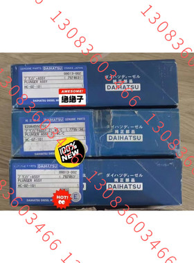 DAIHATSU大发DK20柱塞 E206455020  08013-002