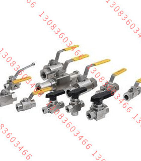 全新 GE耐腐型不锈钢端直通接头(G螺纹) B-GE-L18G3/4WD-SS