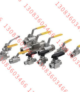 方向可调焊接式直角接头（G螺纹） W-EW-S10G3/8WD-SS