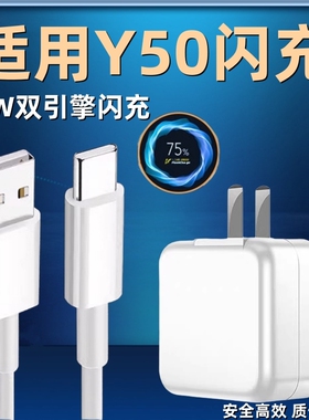 琛艺适用vivoY50充电器头18W瓦vivoy50双引擎闪充2A9V插头快充数据线18w充电线插头y50手机Type-c套装琛艺