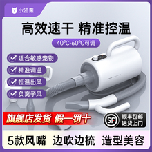 小红栗狗狗专用吹水机宠物静音吹风机小中大型犬猫咪洗澡烘干机
