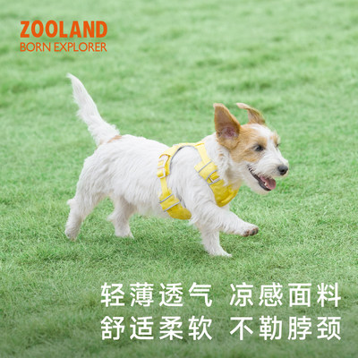 ZOOLAND狗狗胸背牵引绳工
