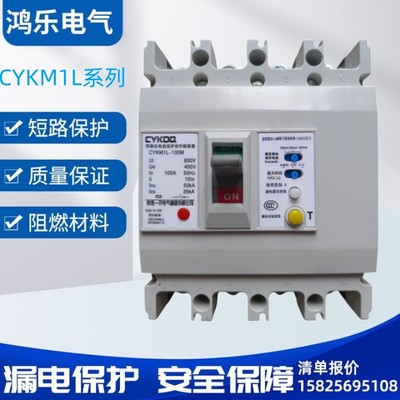 常熟一开漏电塑壳断路器CYKM1L-125L/M/4300 25A32A40A50A63A100A