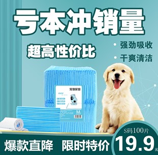 狗狗尿片泰迪小狗吸水尿垫年尿不湿金毛大号中厚除臭尿布宠物用品