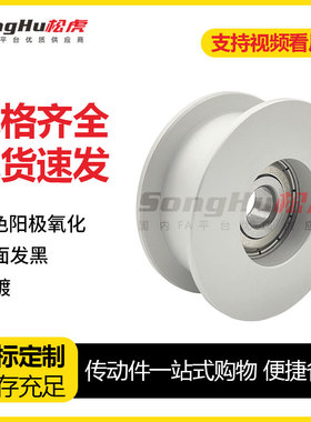 铝平皮带惰轮EVF01 EVF31 EVF21调节导向轮AFBD光面轮背面张紧轮