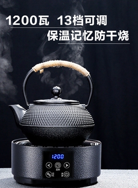 迷你电陶炉煮茶器小型新型烧水煮仪XMI/讯米 GM-20126茶炉养生壶