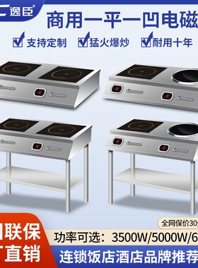 逸臣平凹面双灶商用电磁炉5000W