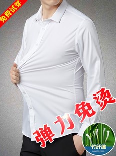 男长袖 春季 弹力衬衫 免烫竹纤维冰丝商务修身 衬衣白 薄款 有弹性大码