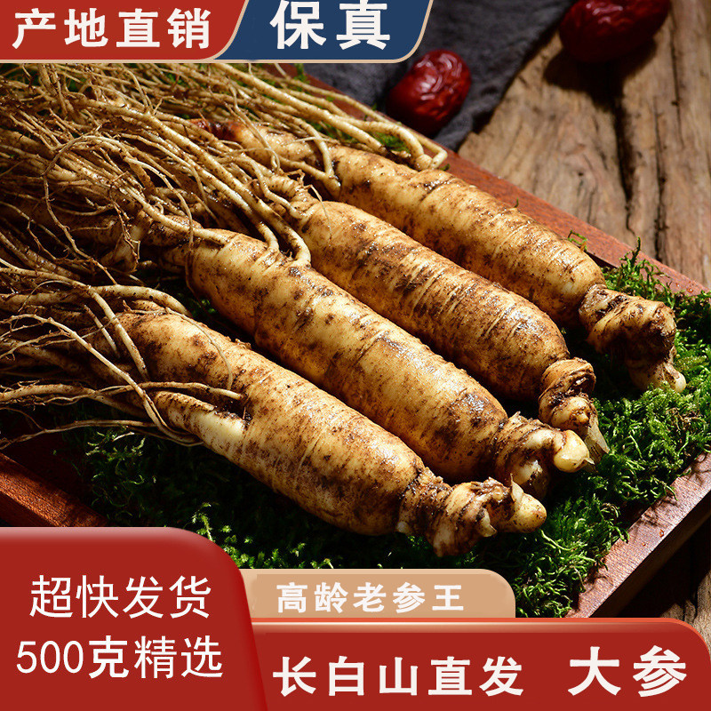 [正宗]长白山鲜人参带土鲜参现挖特大 东北半野山参 煲汤泡酒500g