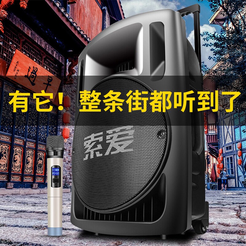 索爱T29大功率广场舞音响重低音演出广告唱歌拉杆音箱手拉式舞台