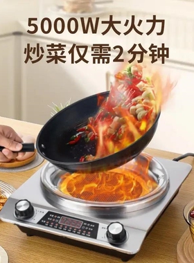 英国艾纳迪凹面电陶炉黑钛晶5000