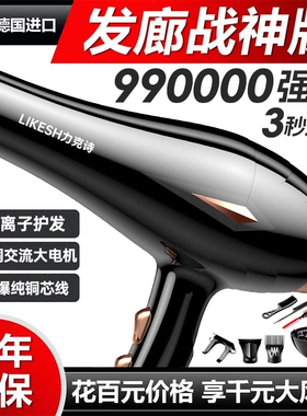 德国电吹风机家用大功率发廊专用