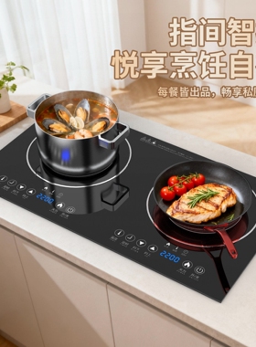 双头电陶炉电磁炉双灶台式嵌入式