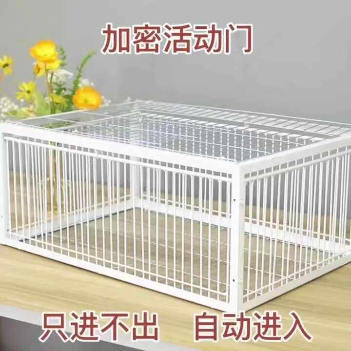 鸟笼捕捉器室外只进不出全自动天落笼子撞门抓收鸽子神器捕笼器加图片
