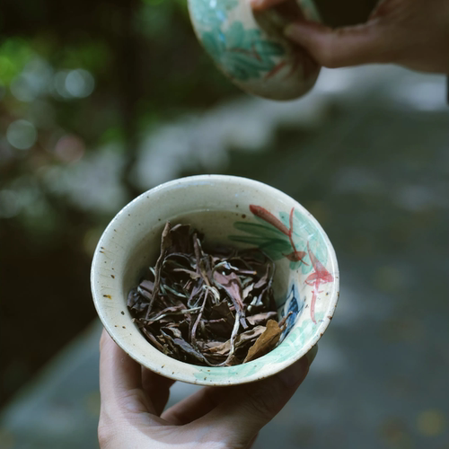 2012福鼎磻溪老白茶寿眉枣药香