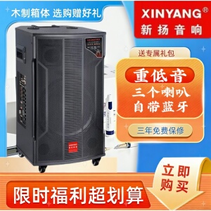 新扬户外音响广场舞大功率蓝牙专